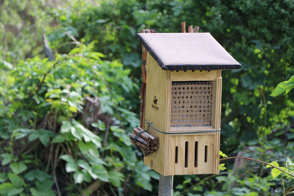 Nahaufnahme eines Insektenhotels aus Holz, das als Lebensraum für Insekten dient.
